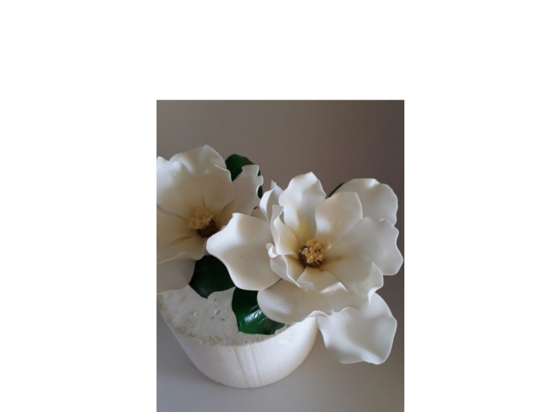 Design sem nome – 2026-06-29T124035.200