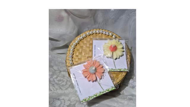 Design sem nome (25)