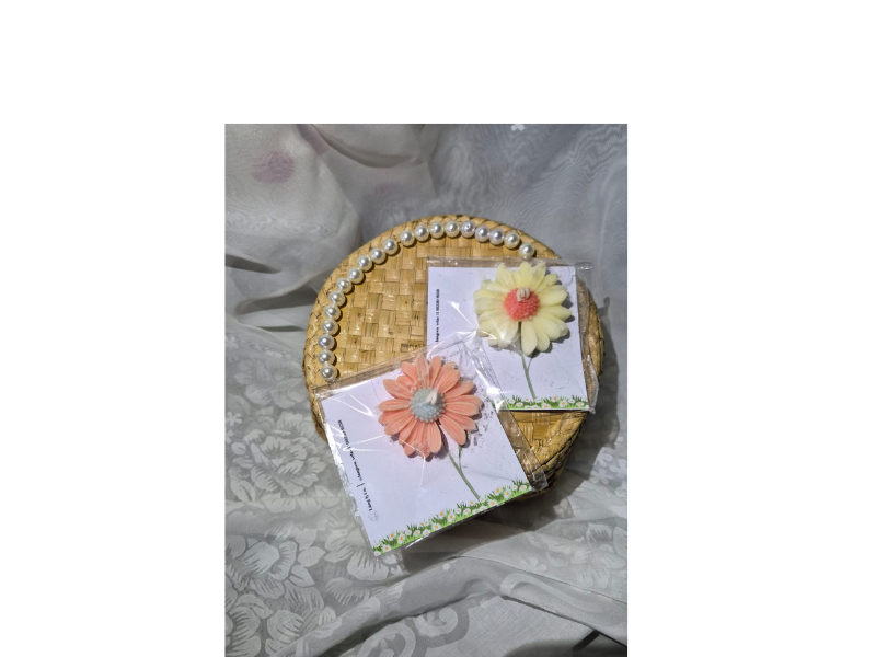 Design sem nome (25)