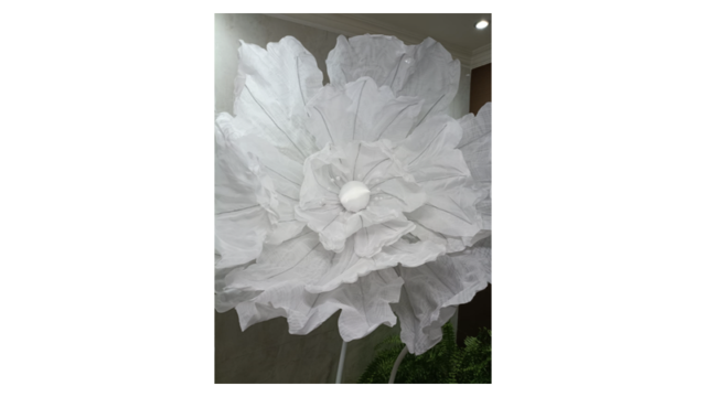pagina-10