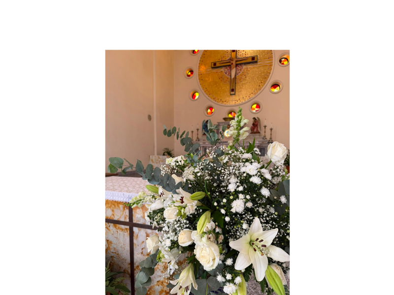 Design sem nome (12)