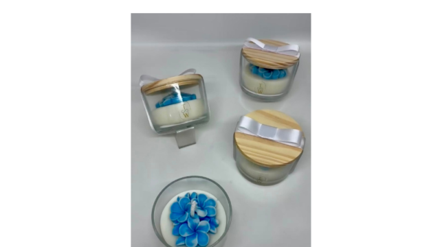 Design sem nome – 2026-07-02T125152.992