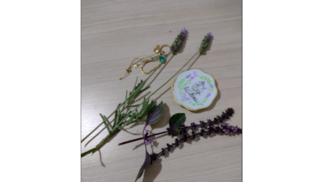 Design sem nome (23)