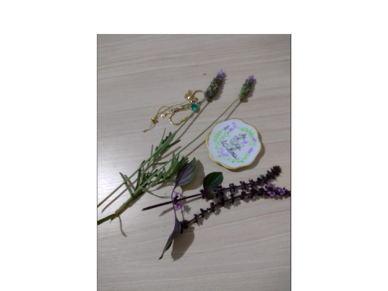 Design sem nome (23)