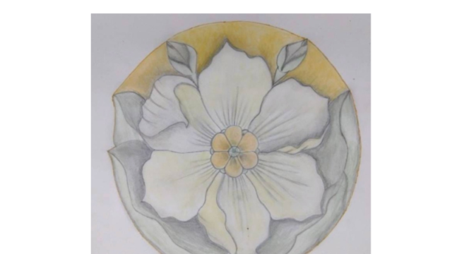 Design sem nome (26)