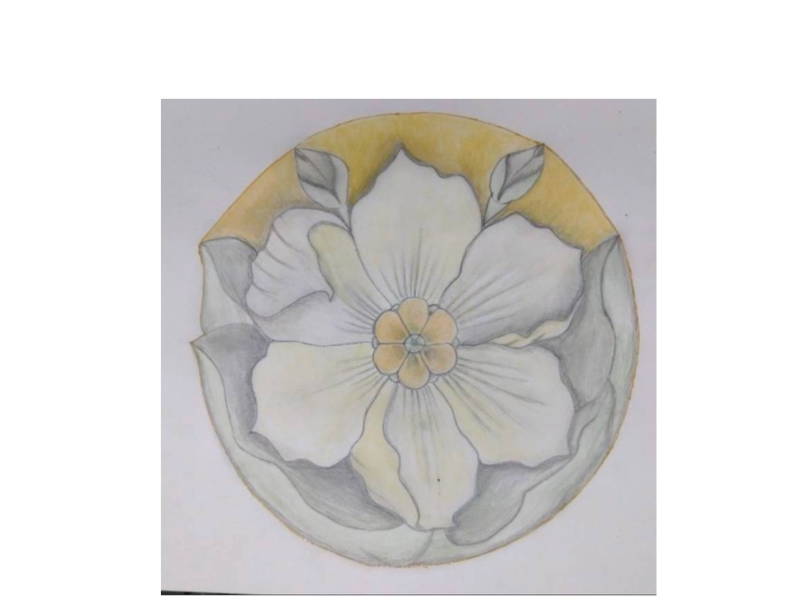 Design sem nome (26)