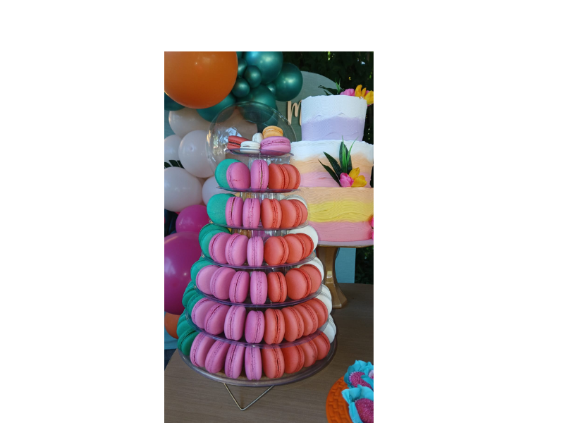 Design sem nome (9)