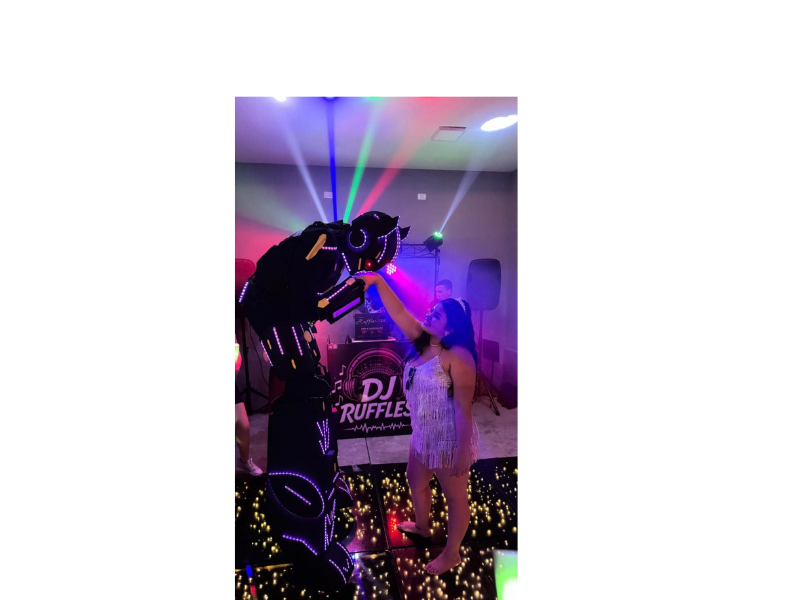 Design sem nome (14)