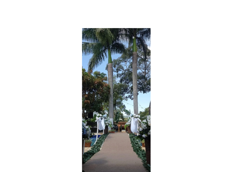 Design sem nome (5)