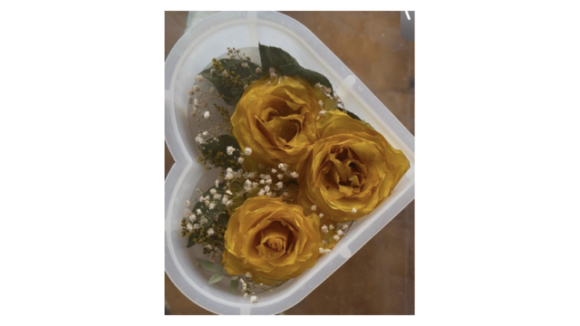 pagina-06